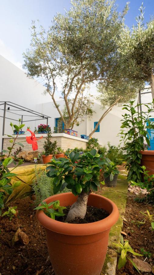 Bed and Breakfast Solemare Nadur Zewnętrze zdjęcie